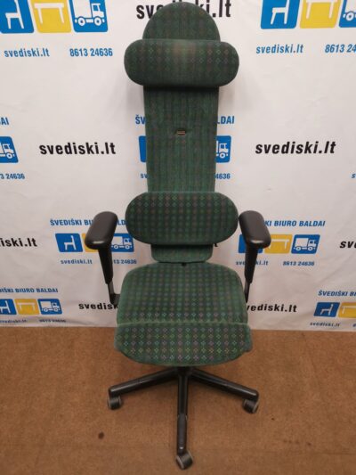 Sun-Flex Žalia Ergonomiška Kėdė Su Reguliuojamais Porankiais, Švedija