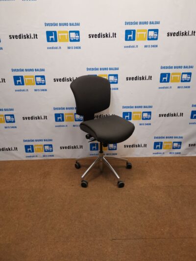 Savo Ikon Tamsiai Pilka Biuro Kėdė, Švedija
