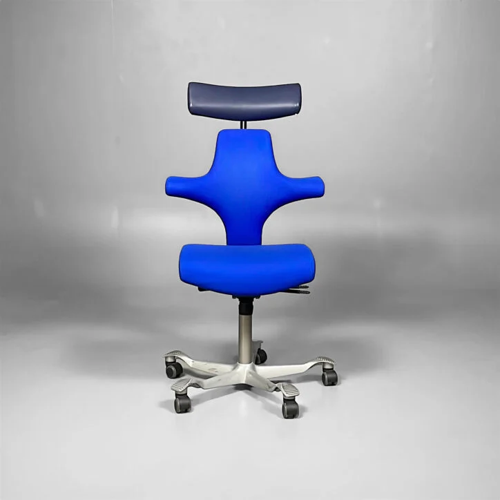 HAG Capisco 8127 Mėlyna Biuro Kėdė Su Galvos Atrama, Švedija