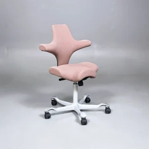 HAG Capisco 8106 Marga Biuro Kėdė, Švedija